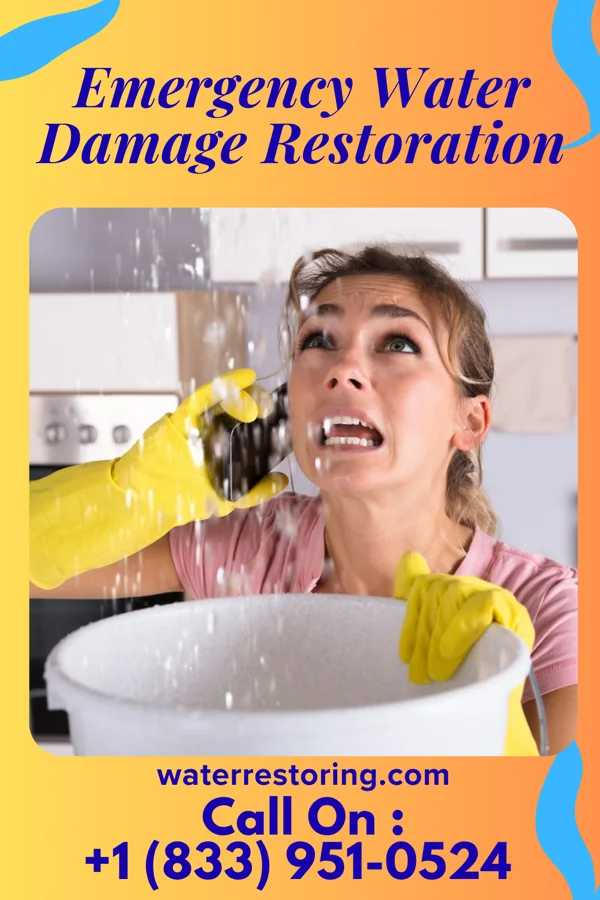 Emergency Water Damage Restoration in Weldon, IL