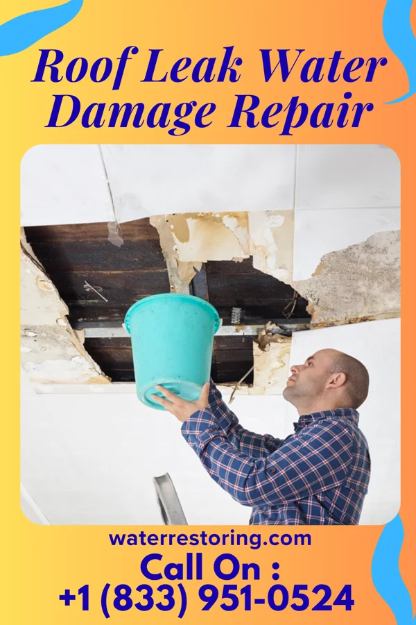 Roof Leak Water Damage Repair in Weldon, IL