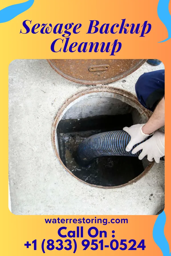 Sewage Backup Cleanup in Weldon, IL