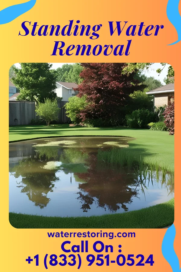 Standing Water Removal in Weldon, IL